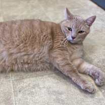 Thumbnail photo of Simon #2