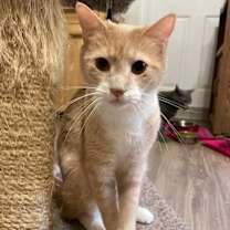 Thumbnail photo of Ralph #2