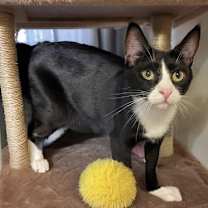 Thumbnail photo of Eduarda #1