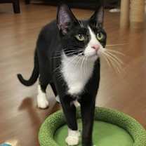 Thumbnail photo of Eduarda #2