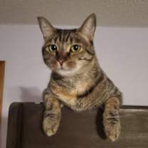 Thumbnail photo of Angie #1