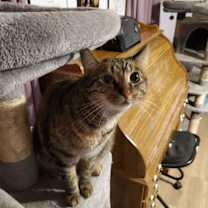 Thumbnail photo of Angie #2