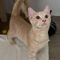 Thumbnail photo of Geronimo #2