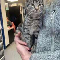 Thumbnail photo of Octavia #2