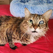 Thumbnail photo of Layla #2