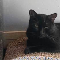 Thumbnail photo of Frank #3