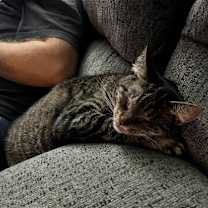 Thumbnail photo of Daphne- special needs #2