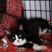 Thumbnail photo of Tasha #3