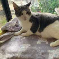 Thumbnail photo of George #1