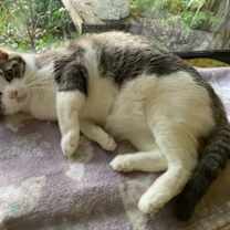 Thumbnail photo of George #4