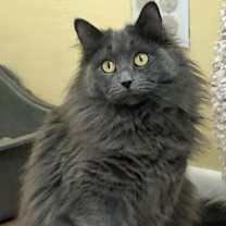 Thumbnail photo of Storm #1