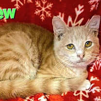 Thumbnail photo of Brew #1