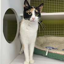 Thumbnail photo of Girlfriend #1