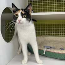 Thumbnail photo of Girlfriend #2