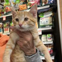 Thumbnail photo of Elsa #1