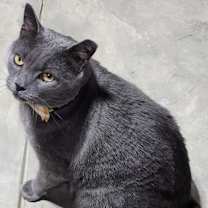 Thumbnail photo of Grayson #4