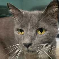 Thumbnail photo of Naomi #4