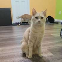 Thumbnail photo of Charlotte #1