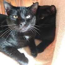 Thumbnail photo of Thomas & Robert #2