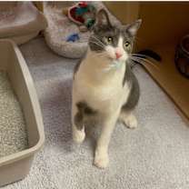 Thumbnail photo of Neville #3