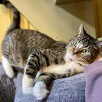 Thumbnail photo of Joan #2