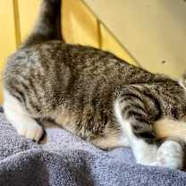 Thumbnail photo of Joan #3