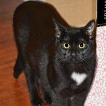 Thumbnail photo of Lacey [CP] #2