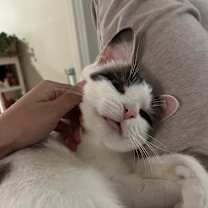 Thumbnail photo of Hudson #3