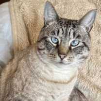 Thumbnail photo of Apple #1