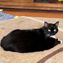 Thumbnail photo of Miata #2