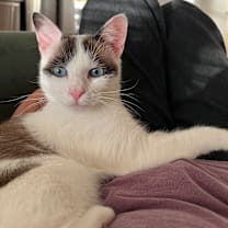 Thumbnail photo of Hudson #2
