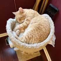 Thumbnail photo of Hobbs #3