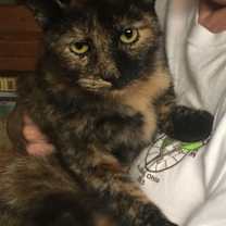 Thumbnail photo of Rhoda #2