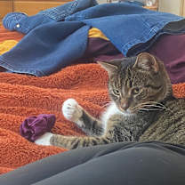Thumbnail photo of Liz #2
