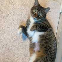 Thumbnail photo of Liz #3