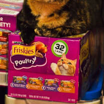 Thumbnail photo of Rita #1