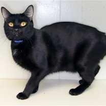 Thumbnail photo of Tahalla - Center #4