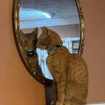 Thumbnail photo of Colby #2