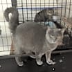 Thumbnail photo of Teri #3