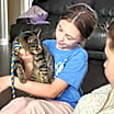 Thumbnail photo of Sparrow #3