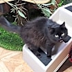 Thumbnail photo of Liza #1