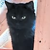 Thumbnail photo of Liza #2