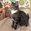 Thumbnail photo of Carolina #1