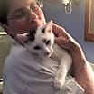 Thumbnail photo of 1 spot/2 spot bonded pair #2