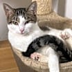 Thumbnail photo of Callie Mae #1