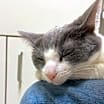 Thumbnail photo of Whiney #2