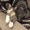 Thumbnail photo of Marilyn-happy girl #3