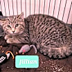 Thumbnail photo of Jillian #3