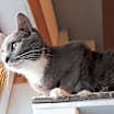 Thumbnail photo of Porscha #3