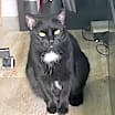 Thumbnail photo of Speckles #3